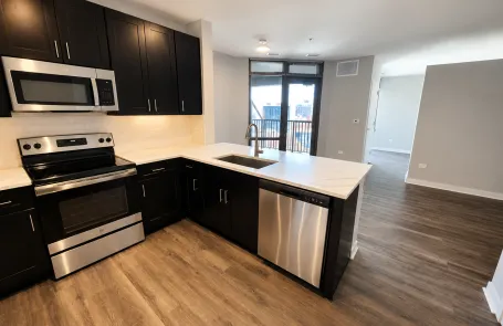 1 Bedroom South Loop Apartment