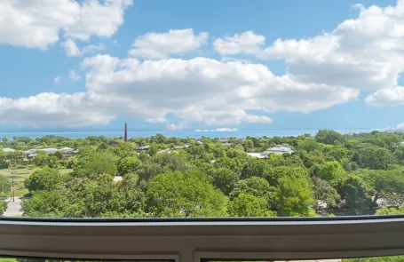1 Bedroom Lincoln Park Apartment