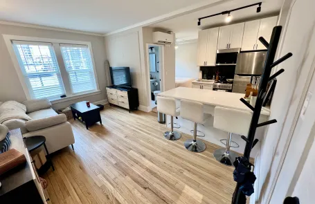 1 Bedroom Lincoln Park Apartment