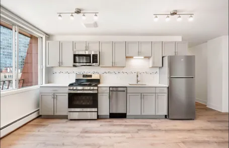 Studio Lincoln Park Apartment