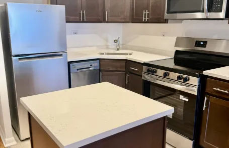 2 Bedroom Lincoln Park Apartment