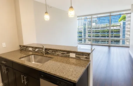 1 Bedroom Streeterville Apartment