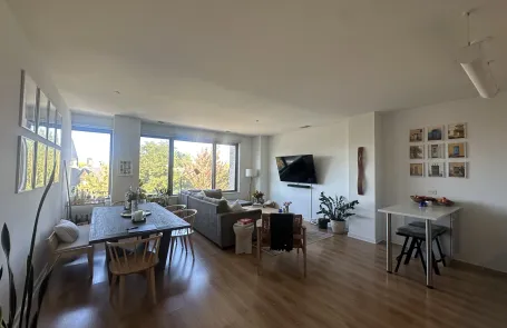 1 Bedroom Lincoln Park Apartment