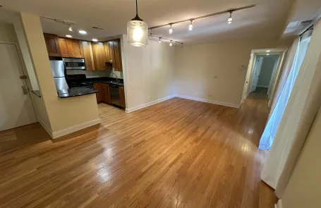 2 Bedroom Lincoln Park Condo