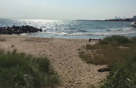 1 Bedroom Edgewater Condo