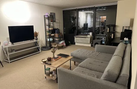 1 Bedroom Lakeshore East Apartment