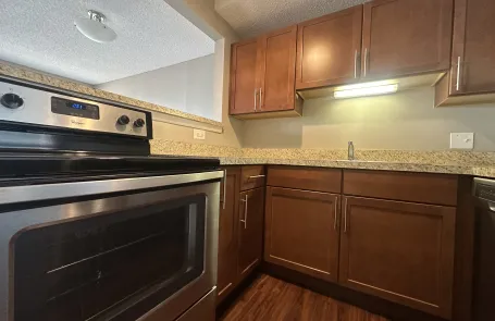Studio Streeterville Apartment