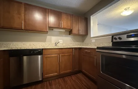 1 Bedroom Streeterville Apartment