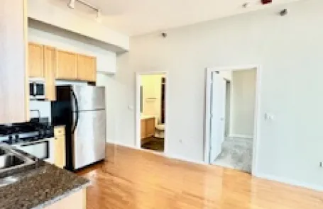 2 Bedroom South Loop Apartment