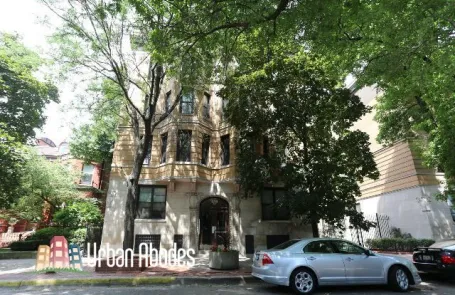 1 Bedroom Lincoln Park Apartment