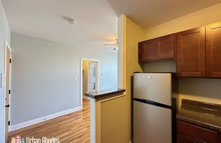 Studio Lakeview Apartment