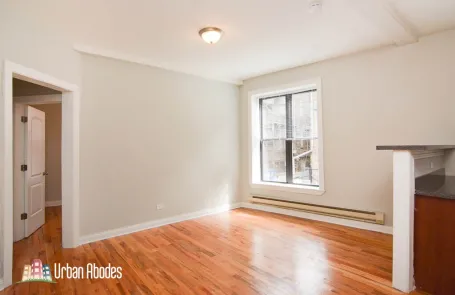 1 Bedroom Lincoln Park Apartment