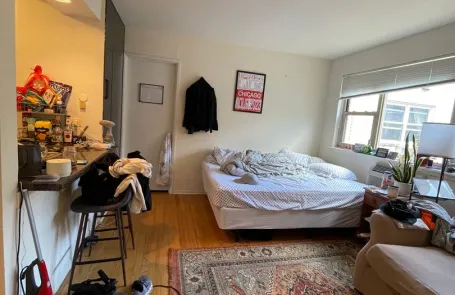 Studio Lakeview Apartment