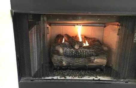 1 Bedroom South Loop Apartment