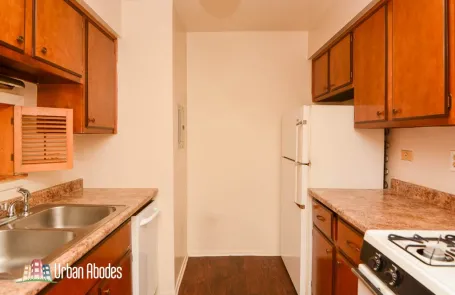 1 Bedroom Lincoln Park Apartment