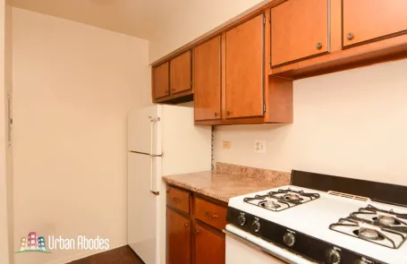 1 Bedroom Lincoln Park Apartment