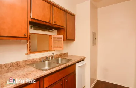 1 Bedroom Lincoln Park Apartment