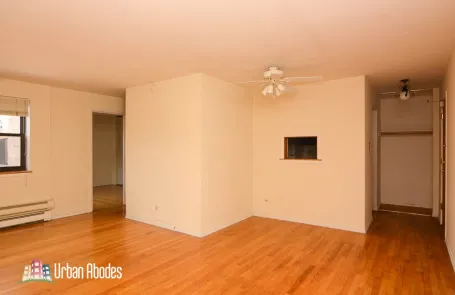 1 Bedroom Lincoln Park Apartment