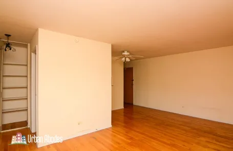 1 Bedroom Lincoln Park Apartment