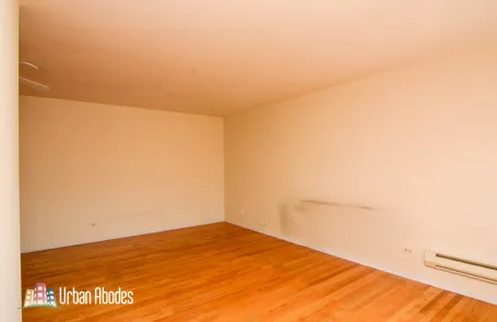 1 Bedroom Lincoln Park Apartment