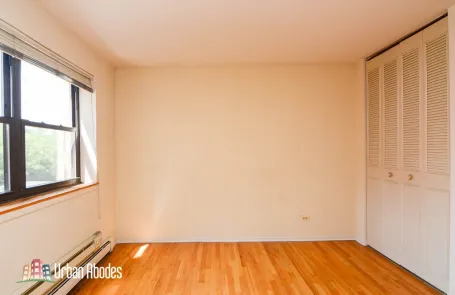 1 Bedroom Lincoln Park Apartment
