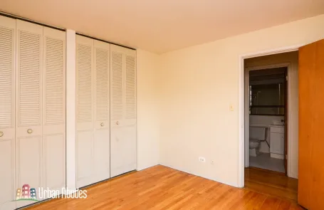1 Bedroom Lincoln Park Apartment