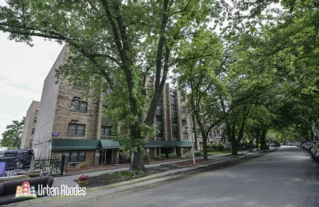 Studio Lincoln Park Apartment