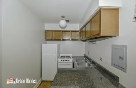 Studio Lincoln Park Apartment