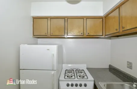 Studio Lincoln Park Apartment