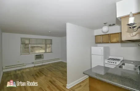 Studio Lincoln Park Apartment