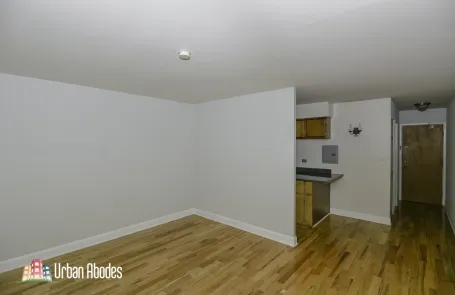 Studio Lincoln Park Apartment