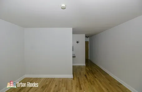 Studio Lincoln Park Apartment