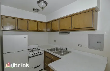 Studio Lincoln Park Apartment