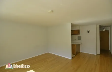 Studio Lincoln Park Apartment