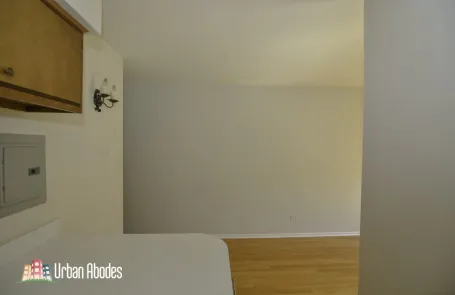 Studio Lincoln Park Apartment