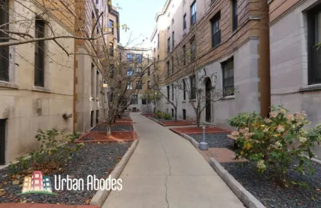 1 Bedroom Lincoln Park Apartment