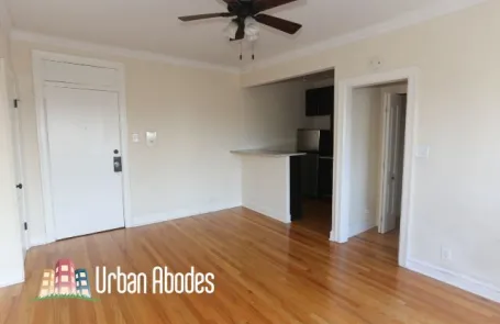 Studio Ravenswood Apartment
