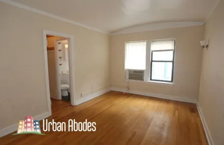 Studio Lincoln Park Apartment