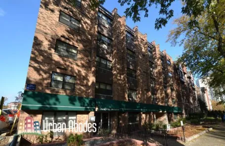 Studio Lincoln Park Apartment