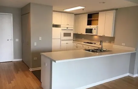 1 Bedroom South Loop Apartment