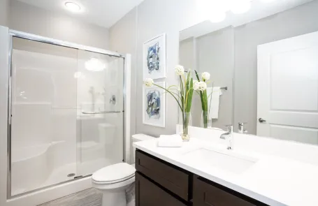 1 Bedroom Naperville Apartment