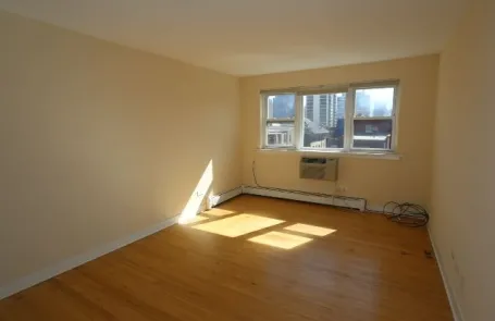1 Bedroom Lincoln Park Apartment