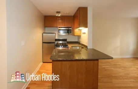 Studio Lincoln Park Apartment
