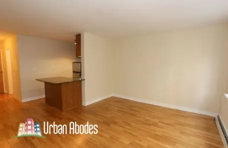 Studio Lincoln Park Apartment