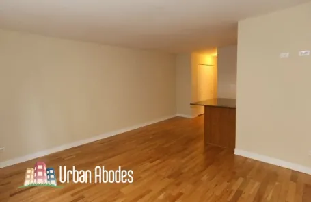 Studio Lincoln Park Apartment
