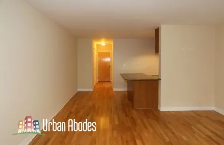 Studio Lincoln Park Apartment