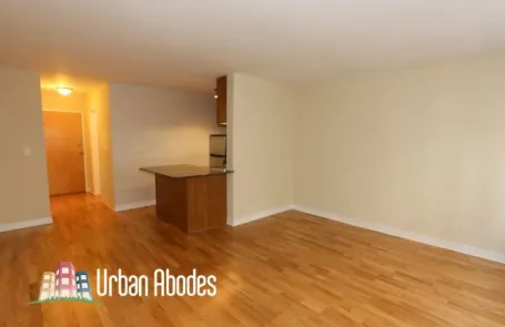 Studio Lincoln Park Apartment