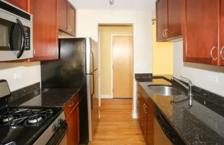1 Bedroom Lincoln Park Apartment