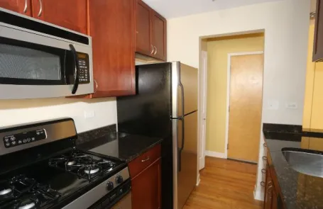 1 Bedroom Lincoln Park Apartment