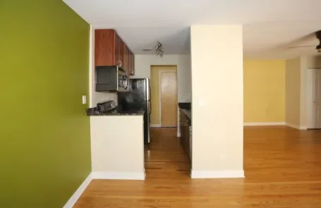 1 Bedroom Lincoln Park Apartment